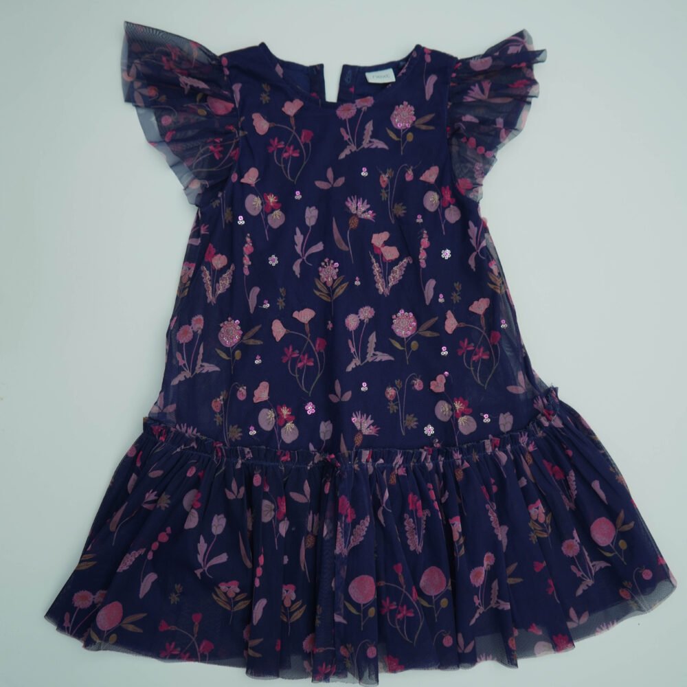 NEXT Blue Printed Net Dress
