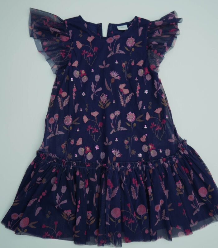 NEXT Blue Printed Net Dress