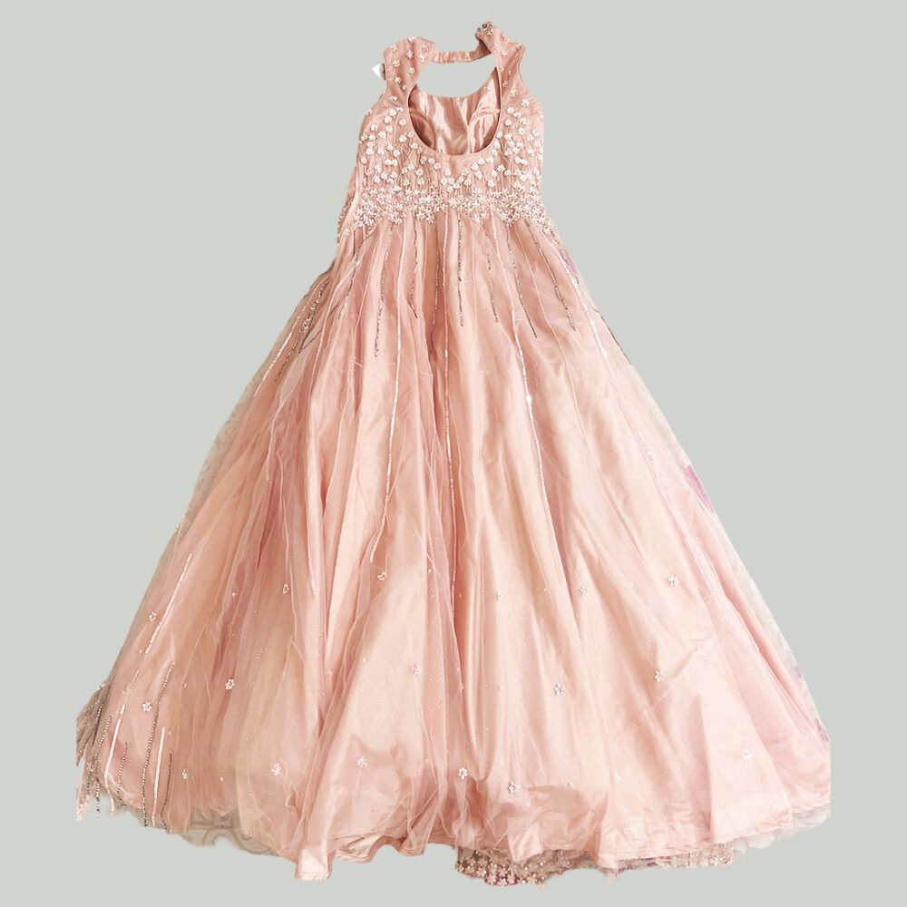 Pink Net Gown - Image 3
